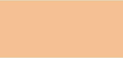Giorgio Armani Power Fabric + Longwear High Coverage Foundation ( 3.25 ) (Camel)