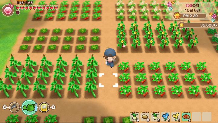 Actual product image Marvelous Story of Seasons : Friends of Mineral Town (Switch, FR)