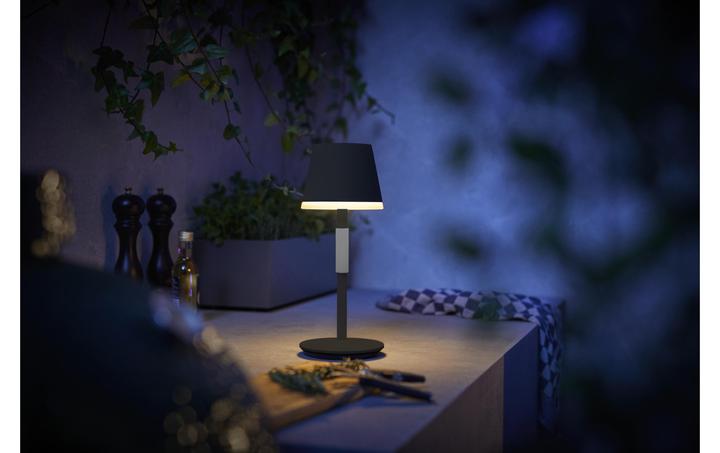 Productafbeelding Philips Hue Hue Go (370 lm)