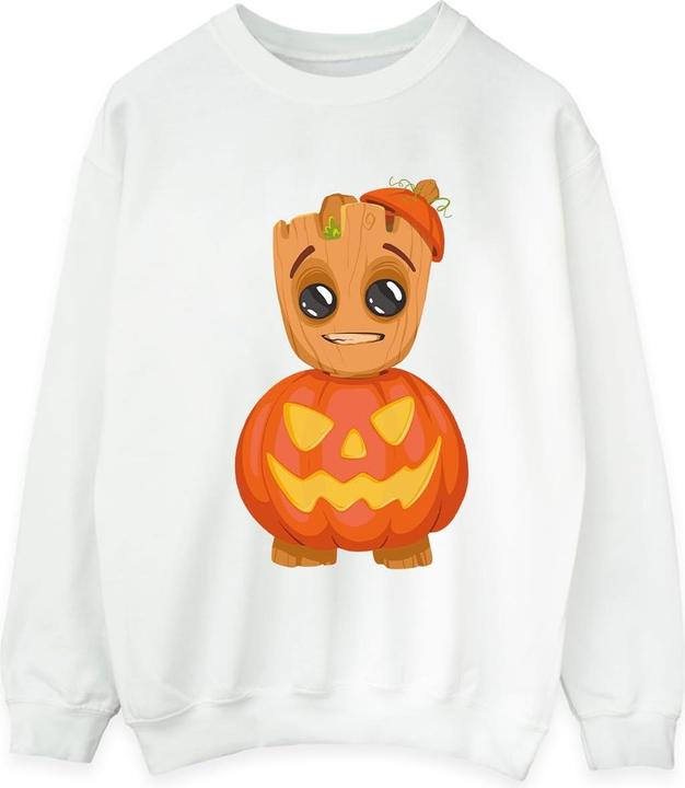Image du produit - Sweat - Homme (S)