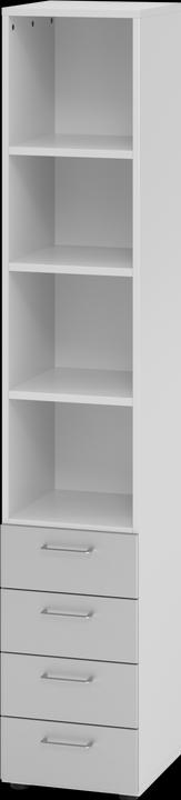 Grey/Silver