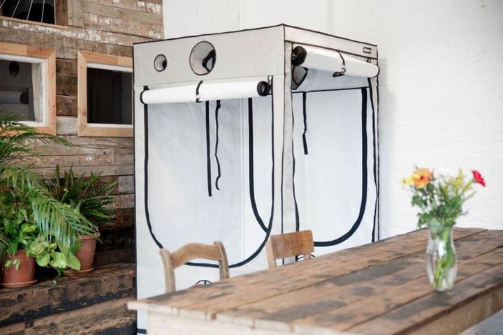 Actual product image Homebox Ambient R120 With PAR+