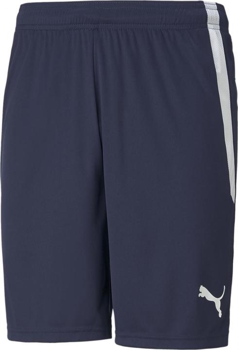 Actual product image Puma teamLIGA Shorts-704924 (S)