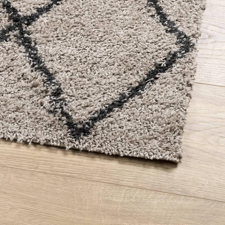 Produktbild VidaXL Teppich Shaggy Hochflor Modern (170 x 120 cm)