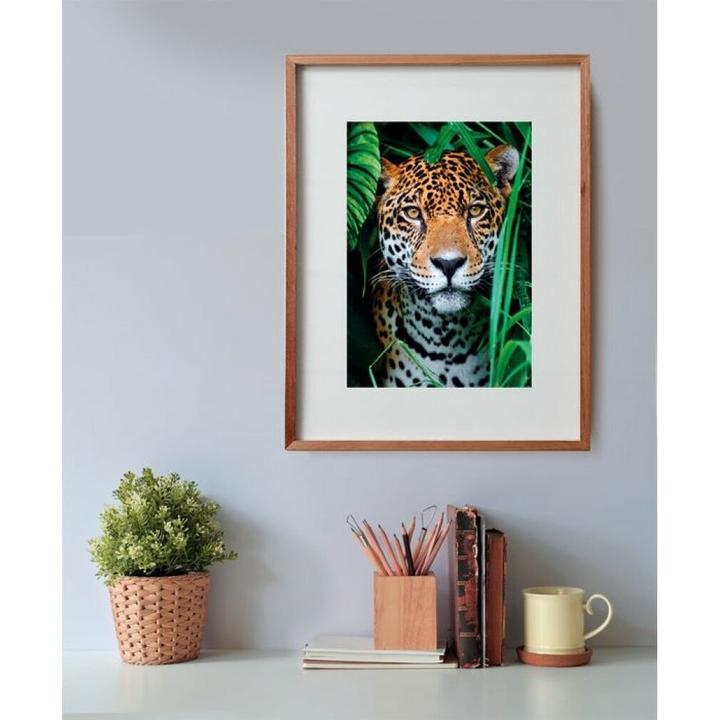 Immagine prodotto Clementoni Jaguar in the Jungle (500 pezzi)