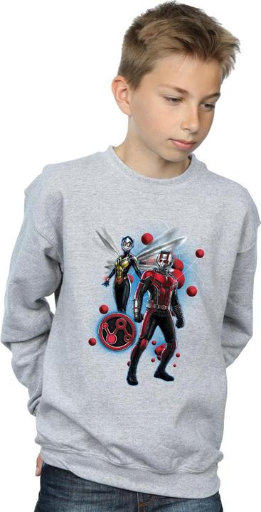 Image du produit Sweat Garçons Ant-Man And The Wasp Particle Pose (116)