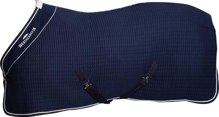 Image du produit Weatherbeeta Thermocell (120 cm)
