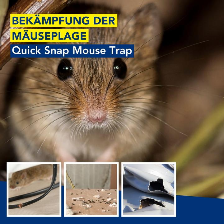 Produktbild Edialux Quicksnap Mausefalle, Promopack 4+2 St?ck