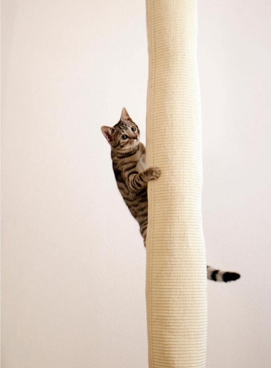 Produktbild Kerbl Climber (240 cm, Beige)