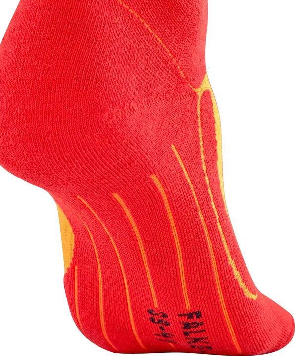 Actual product image Falke SK4 (42 - 43)