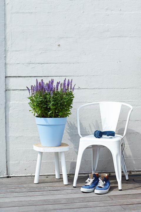 Immagine prodotto Elho Loft Urbano (50 cm)