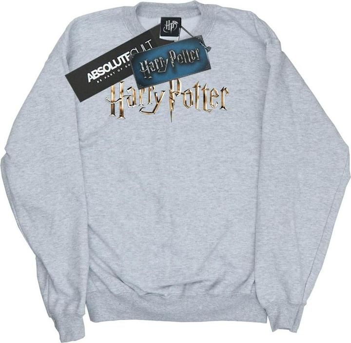 Immagine prodotto Full Colour Logo Felpa Ragazzi (116)