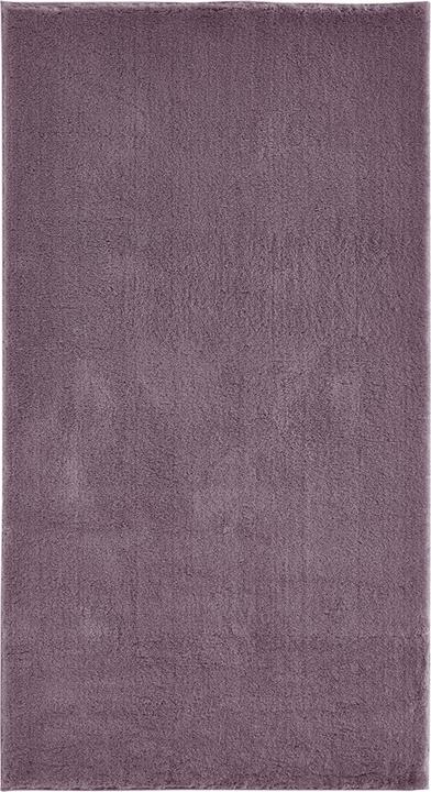 Lavanda