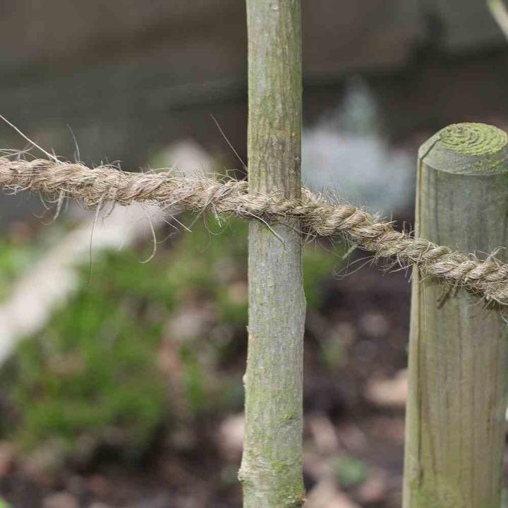 Produktbild Siena Garden Seil (10000 cm, 0.70 cm)