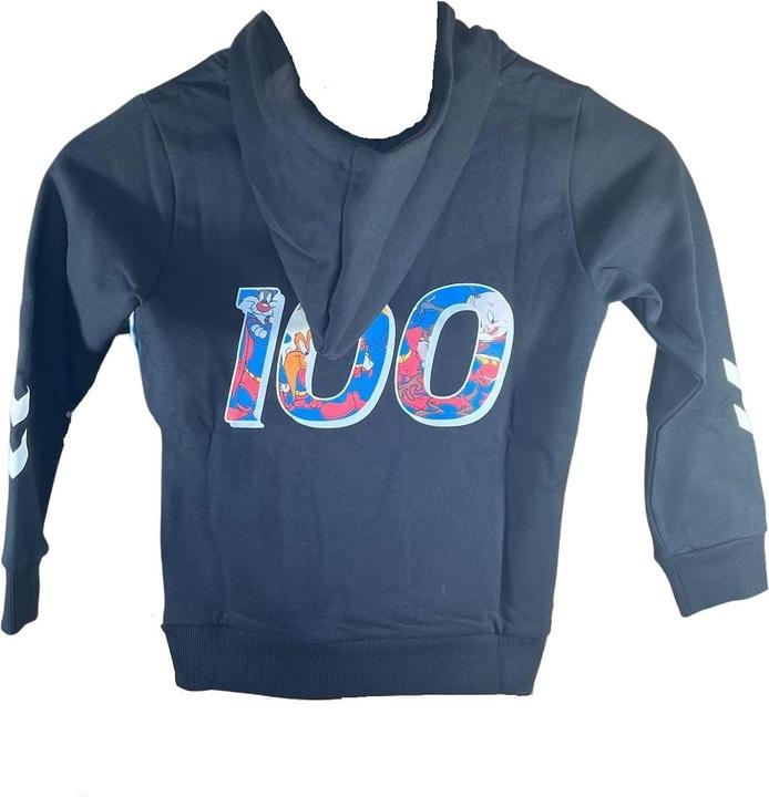 Image du produit hummel Hmlcelebrating Story Hoodie (134)