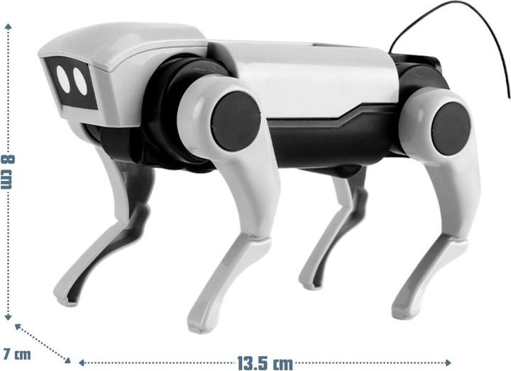 Actual product image Hermex Robot dog