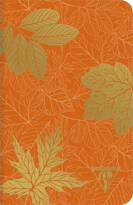 Immagine prodotto Clairefontaine Neo Deco (11 x 17 cm, Righe, Copertina rigida)