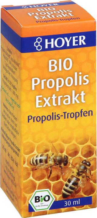 Hoyer Propolis Extrakt (1 Stück, Flüssigkeit, 80 g)