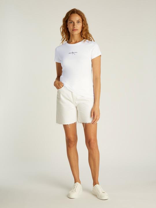 Actual product image Calvin Klein Jeans Gradient Monologo Slim Tee (L)