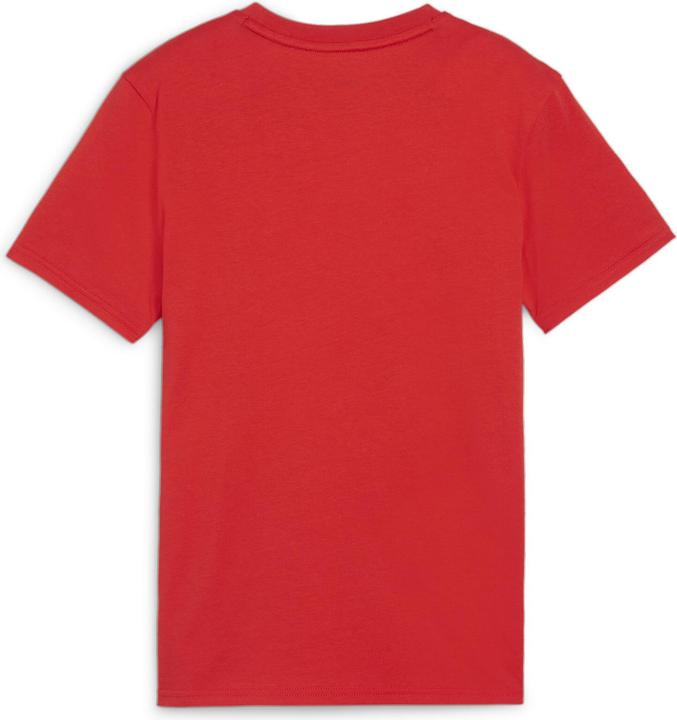 Actual product image Puma teamGOAL Casuals Tee Jr (140)