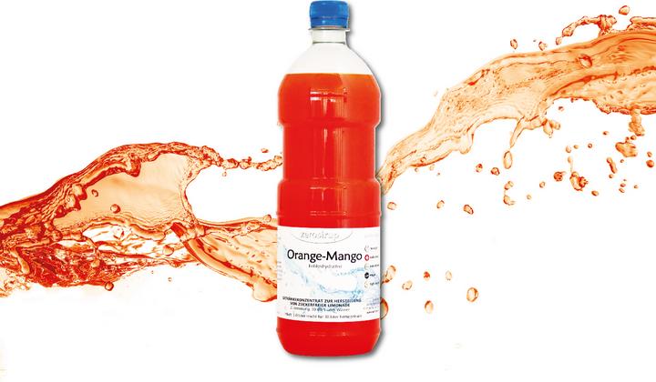 Günter Aroma Zerosirup (1 x 100 cl)