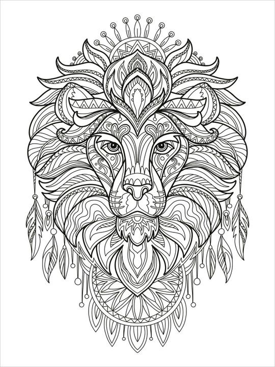 Image du produit Mon livre de coloriage d'animaux Mandala - Animaux magiques