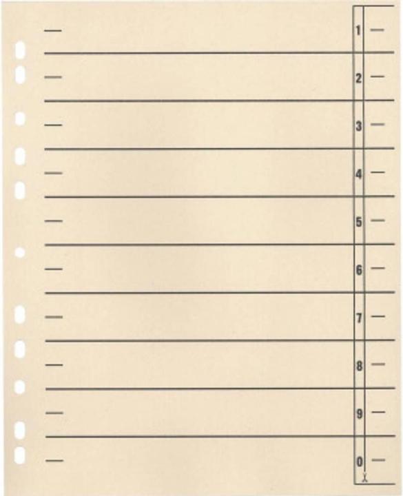 Soennecken Trennblätter 24x30cm 190g 11fach gelocht chamois 100 St./Pack.