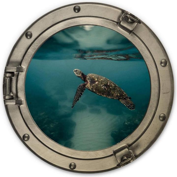 Image du produit Trenddeko Hublot d'optique 3D - tortue de côté (Ø 30 cm)