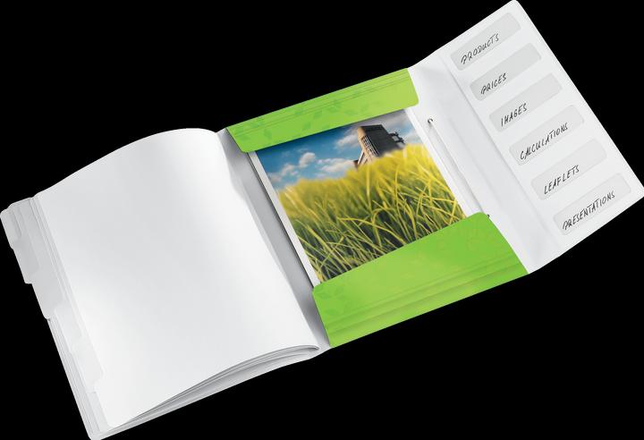 Image du produit Leitz Classeur WOW, DIN A4, PP, 6 compartiments, surface laminée vert métallique, structure de surface (A4, 1 x)