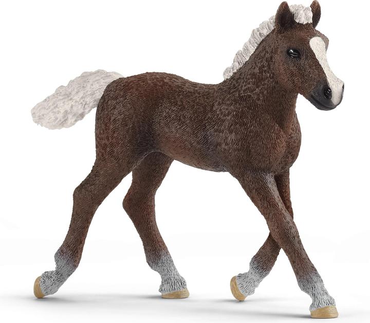 Produktbild Schleich Schwarzwälder Fohlen