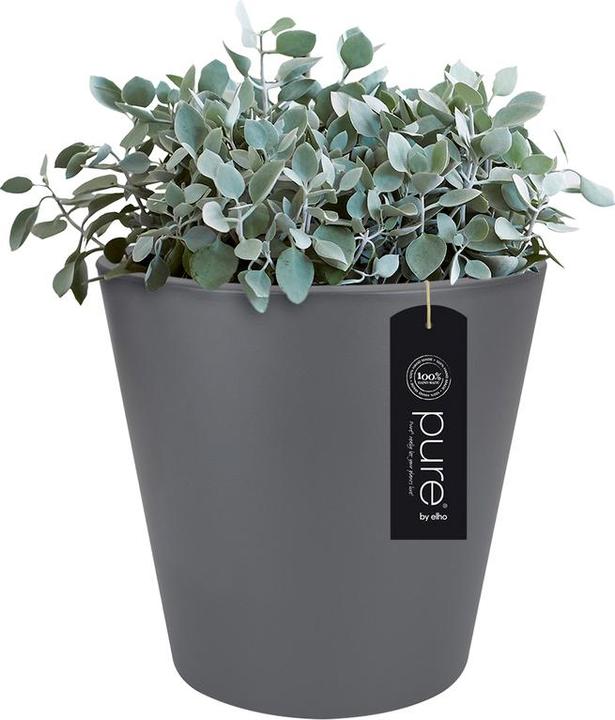 Actual product image Elho Plant pot Pure straight round plastic 50 H 51 cm anthracite (49.50 cm)