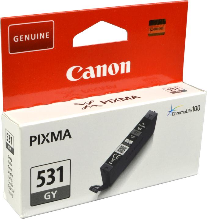 Actual product image Canon CLI-531 (GY) (GY)
