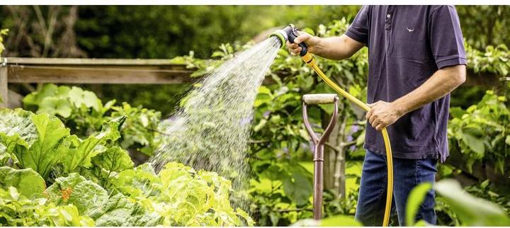 Actual product image Bosch Home & Garden GardenPump 18 (Garden pump)