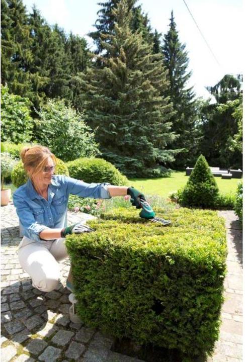 Produktbild Bosch Home & Garden Isio Set (Akkuheckenschere)
