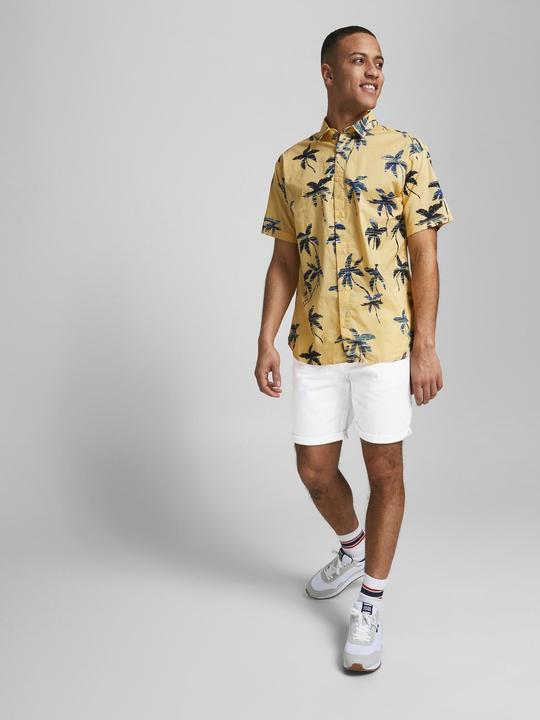 Image du produit Jack & Jones Bowie (S)