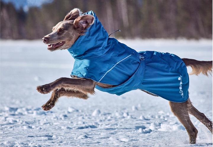 Actual product image Hurtta Extreme Warmer V3 Eco Blue, 55 cm (55, Dog coat)