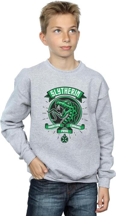 Actual product image Boys Slytherin Toon Crest Sweatshirt (128)