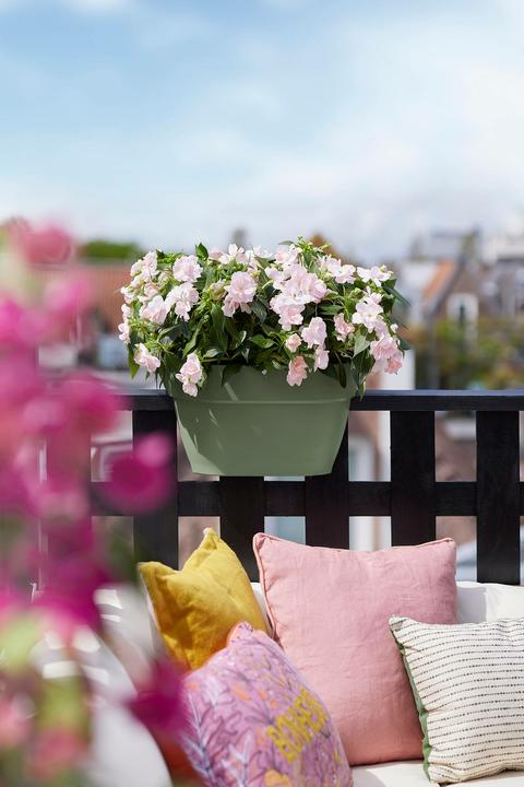 Produktbild Elho Vibia Campana Flower Bridge (26 cm)