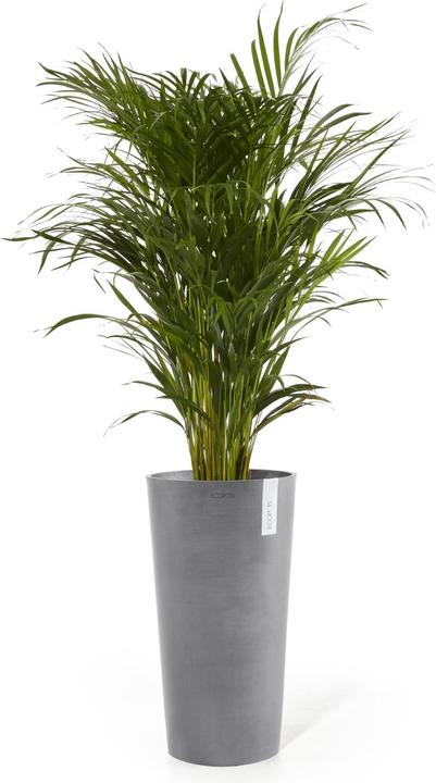 Actual product image Ecopots Amsterdam midhigh (66 cm)