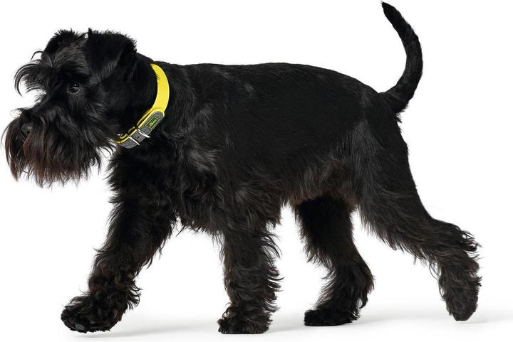 Actual product image Hunter Collar Convenience Biothane (L, Dog, General)