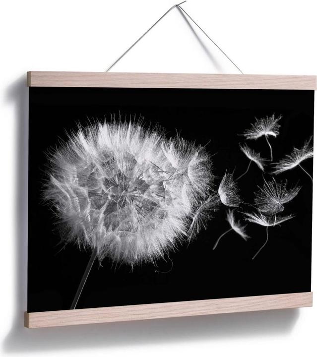 Immagine prodotto Trenddeko Poster Dandelion 100 x 80 cm, Carta (100 x 80 cm)