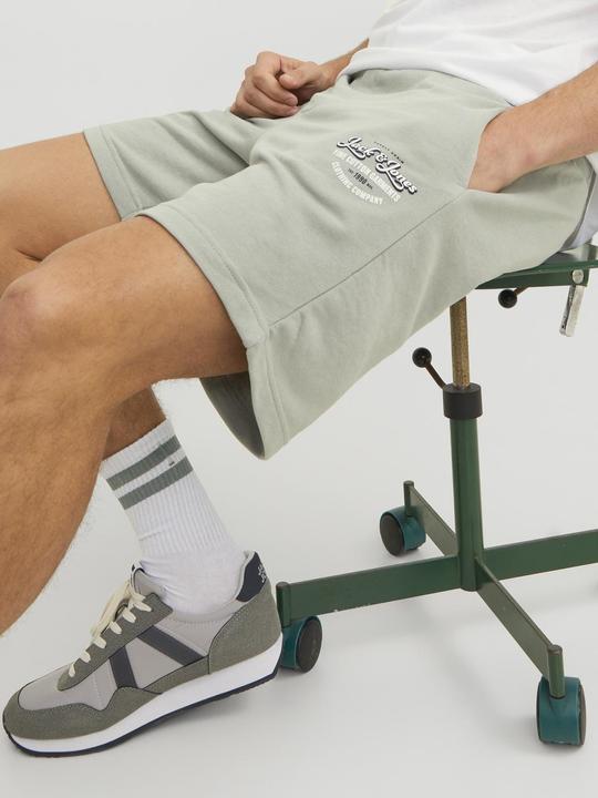 Actual product image Jack & Jones Shorts (S)