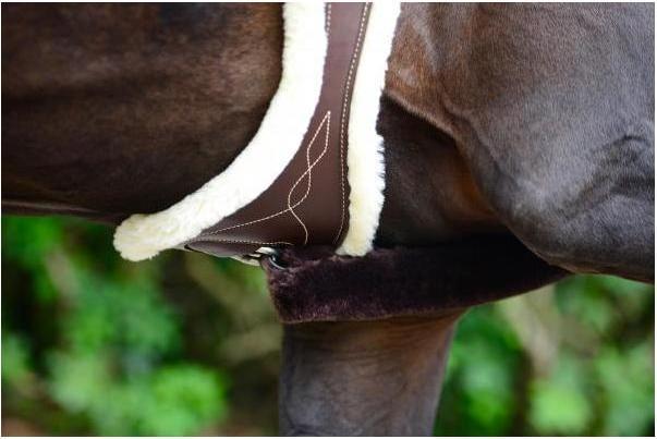 Produktbild Kentucky Horsewear Langgurt anatomisch mit künstl. Schaffell