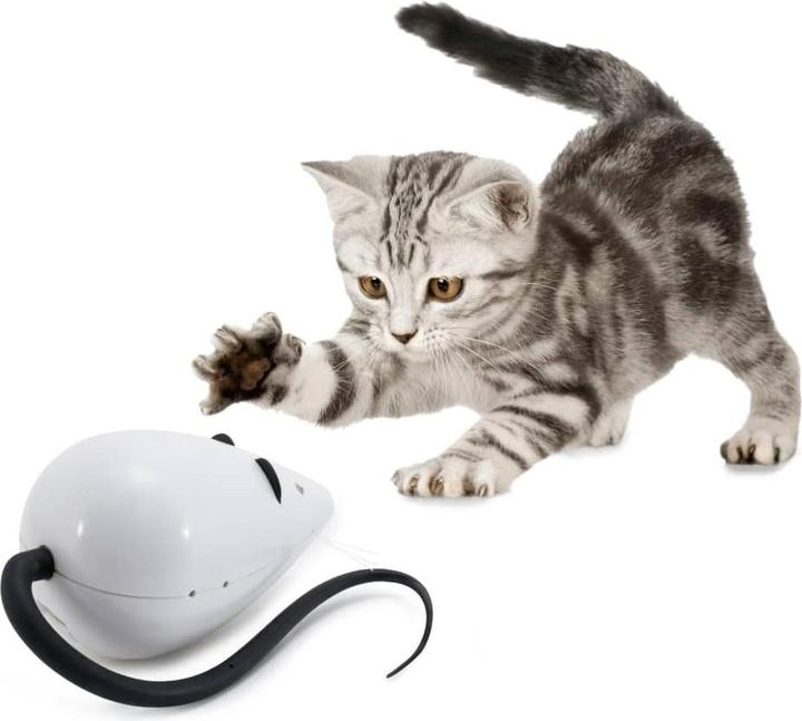Immagine prodotto PetSafe Gioco automatico per gatti FroliCat® RoloRat (Catmint giocattolo)