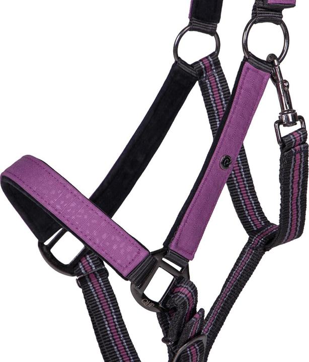 Image du produit Qhp ensemble licol et longe pour cheval