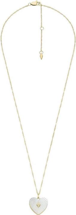 Image du produit Fossil Collection De Locket (Acier inoxydable, 40 - 46 cm)