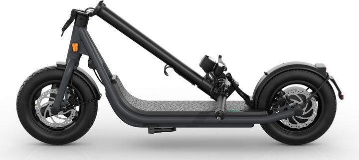 Actual product image Egret X+ (20 km/h, 60 km, 500 W)