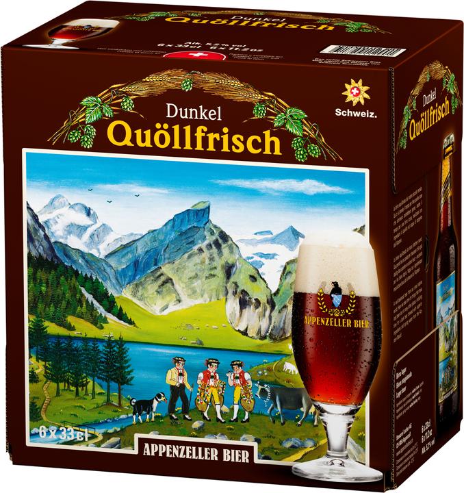 Actual product image Appenzeller Bier Quöllfrisch dark (6 x 33 cl)