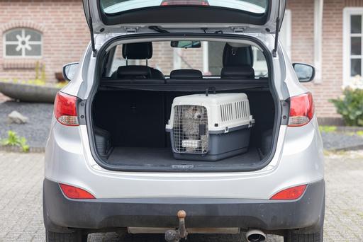 Produktbild Karlie Nomad (Hund, Katze, Abschliessbar)