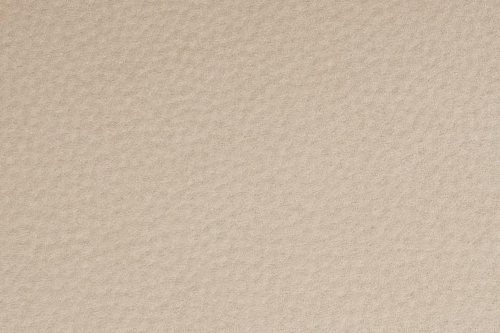 Image du produit Zuiver Lounge Chair Friuli